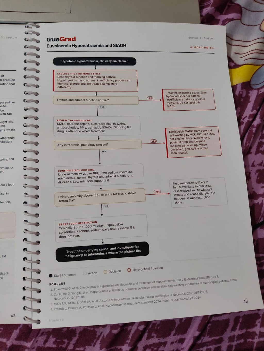 Fluids, Electrolytes & ABG Quick Reference Guide in Flowcharts